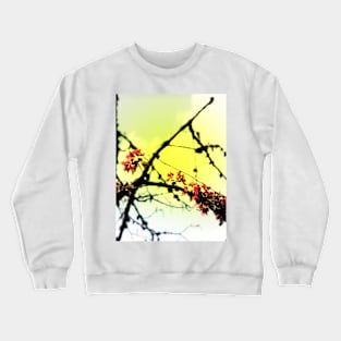 red Malus Radiant crab apple blossoms #7, yellow tint Crewneck Sweatshirt